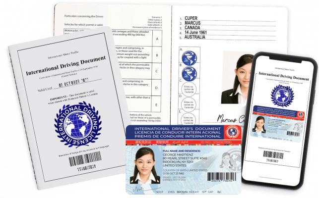 International Driving License